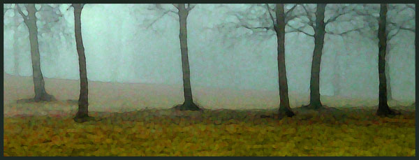 fog & trees