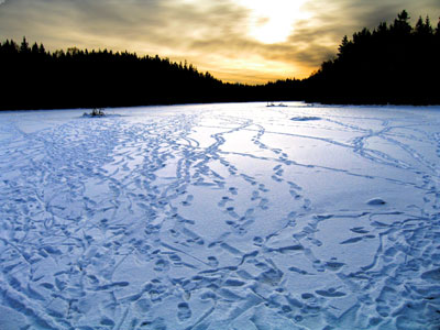 foot prints on ice